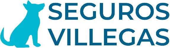 Seguros Villegas