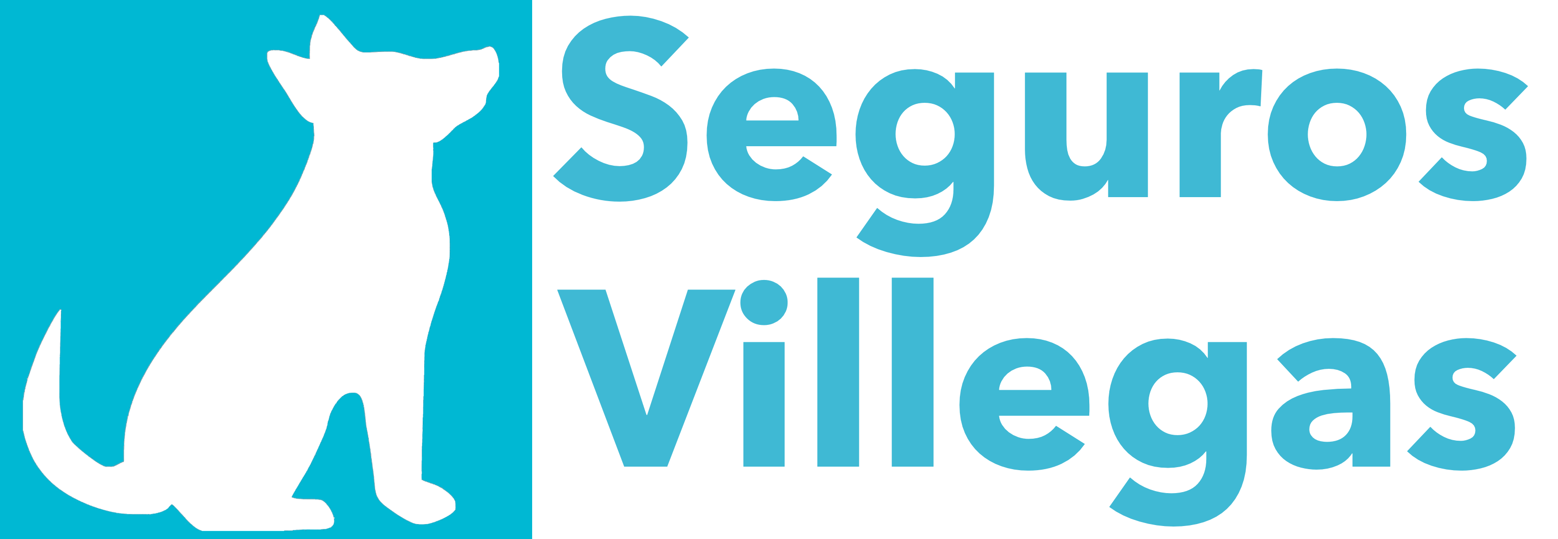 Seguros Villegas