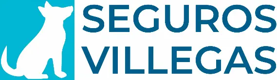 Seguros Villegas